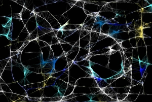 weblike structure symbolizing time space