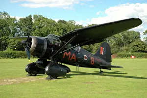 westland lysander warbird world war ii royal air force colors